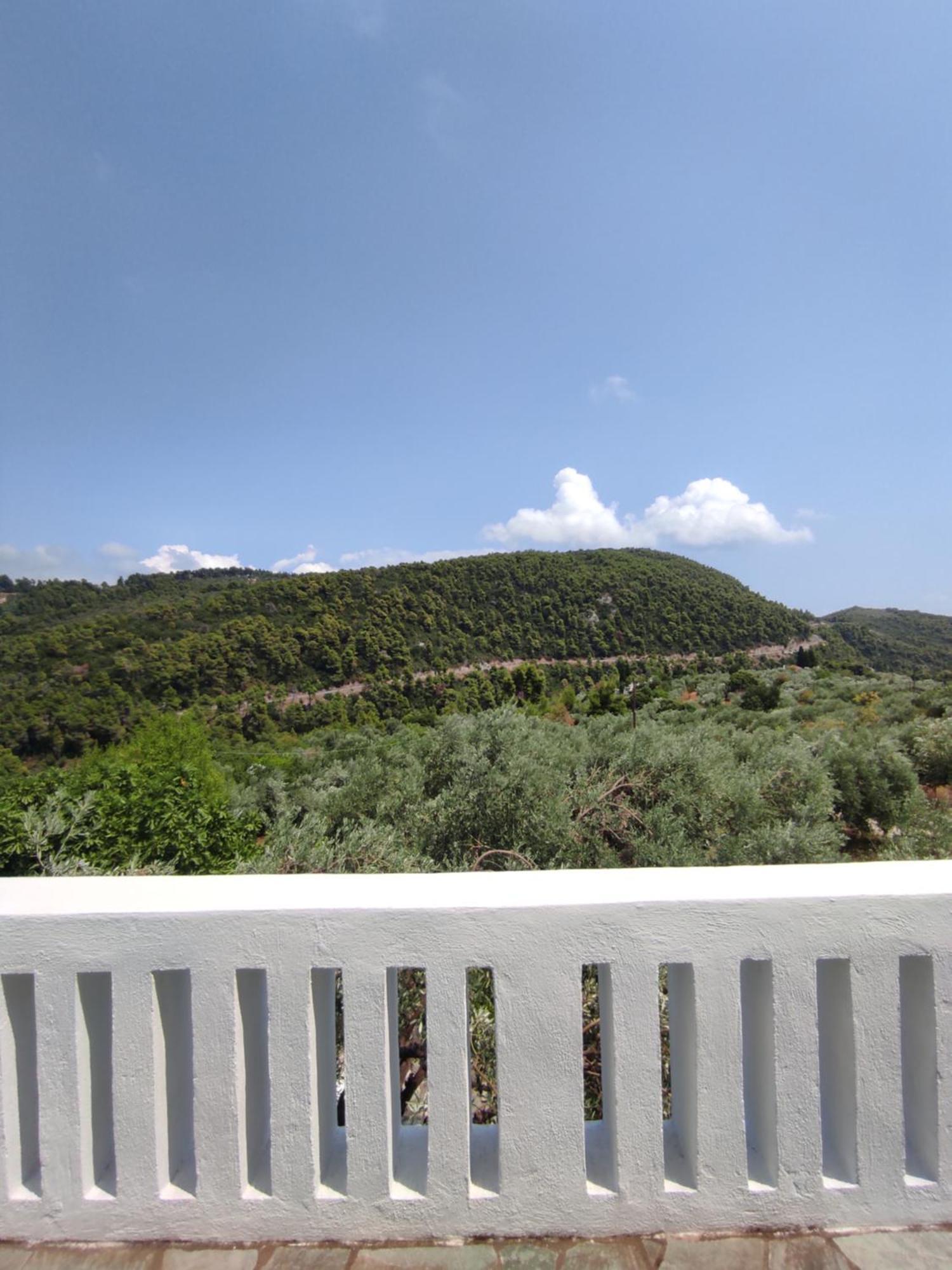 Villa Lionaki House Skopelos Exterior foto